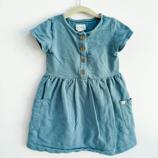 Little Planet Organic Cotton Pocket Dress (3T)