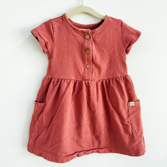 Little Planet Organic Cotton Pocket Dress (2T)
